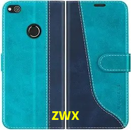 Provedores de Jogos zwx